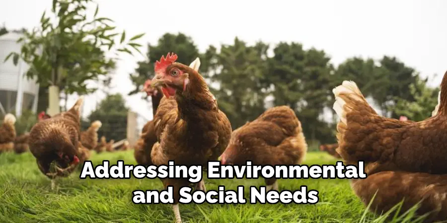 Addressing Environmental and Social Needs