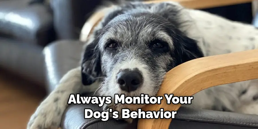 Always Monitor Your Dog's Behavior
