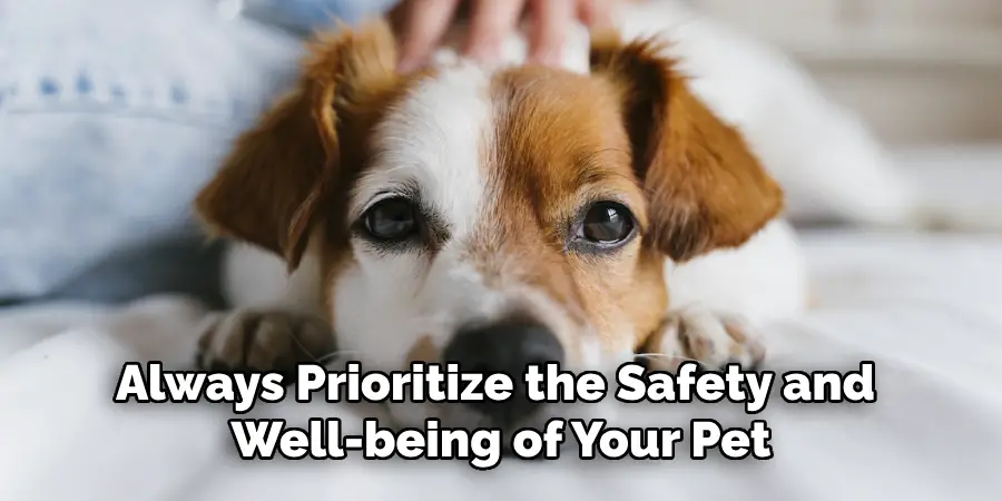 Always Prioritize the Safety and Well-being of Your Pet