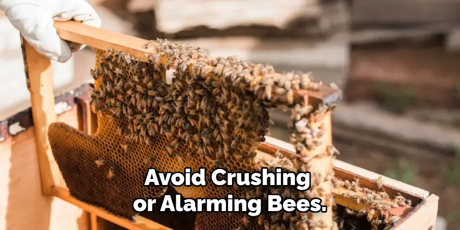 Avoid Crushing or Alarming Bees.