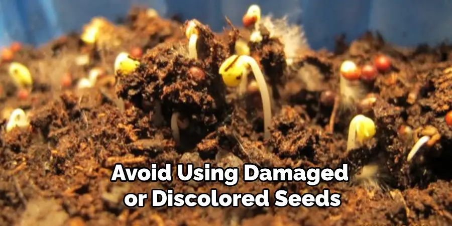 Avoid Using Damaged or Discolored Seeds