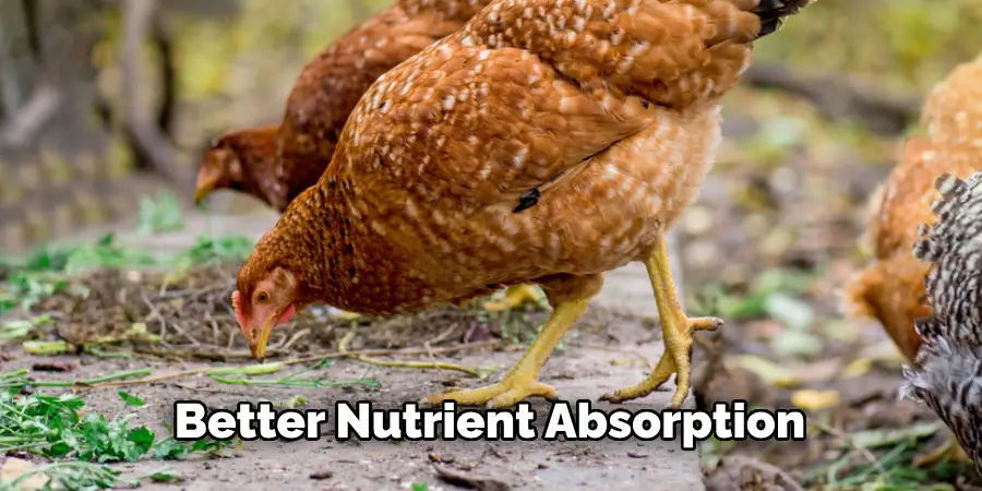 Better Nutrient Absorption