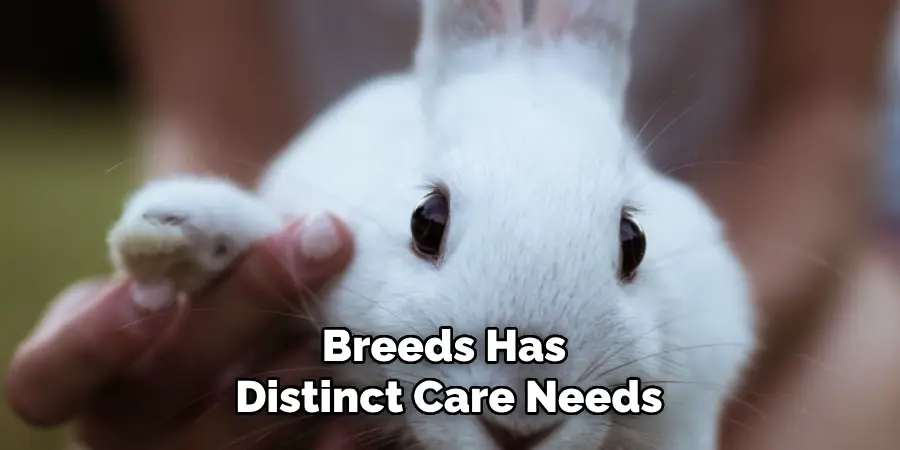 Breeds Has Distinct Care Needs