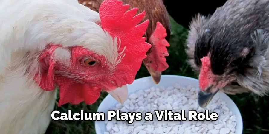Calcium Plays a Vital Role