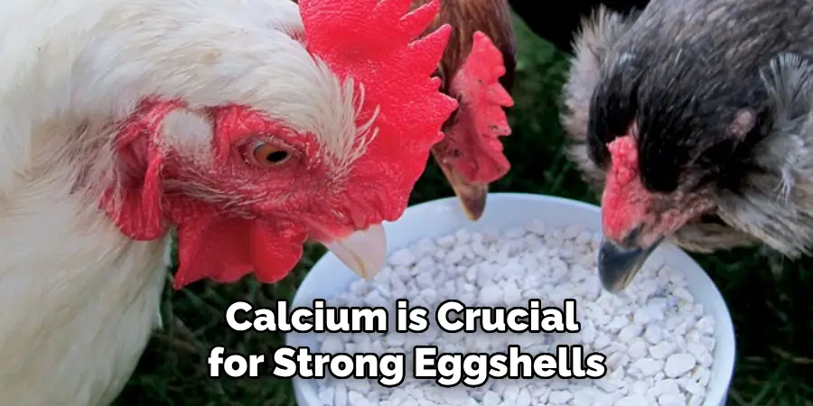 Calcium is Crucial for Strong Eggshells
