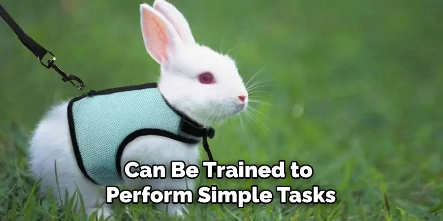 Can Be Trained to Perform Simple Tasks