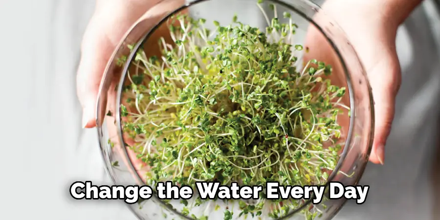 Change the Water Every Day