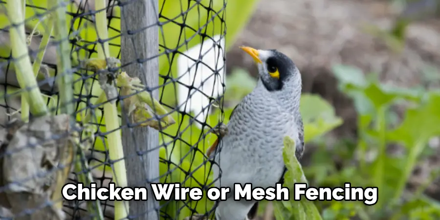 Chicken Wire or Mesh Fencing