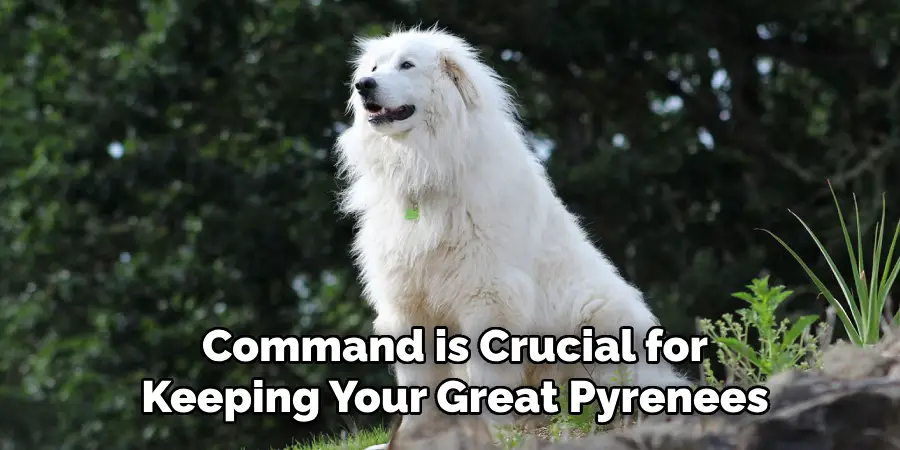 Command is Crucial for Keeping Your Great Pyrenees