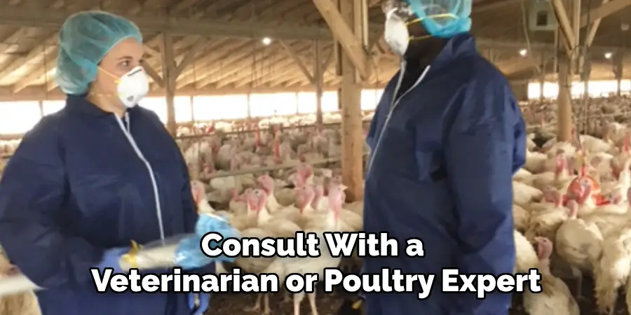 Consult With a Veterinarian or Poultry Expert