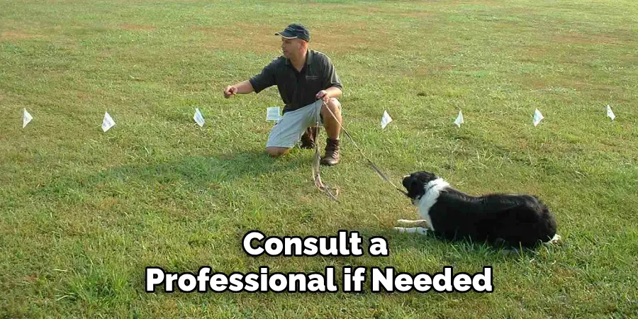 Consult a Professional if Needed