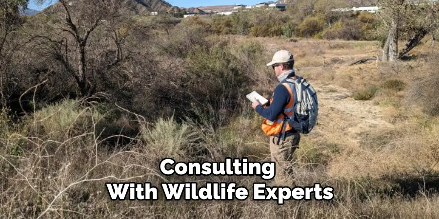 Consulting With Wildlife Experts