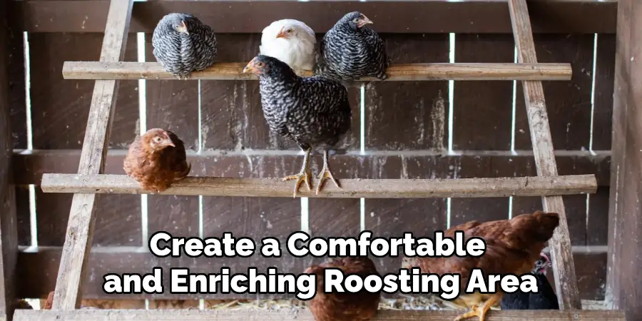 Create a Comfortable and Enriching Roosting Area