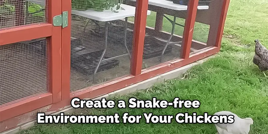 Create a Snake-free Environment for Your Chickens