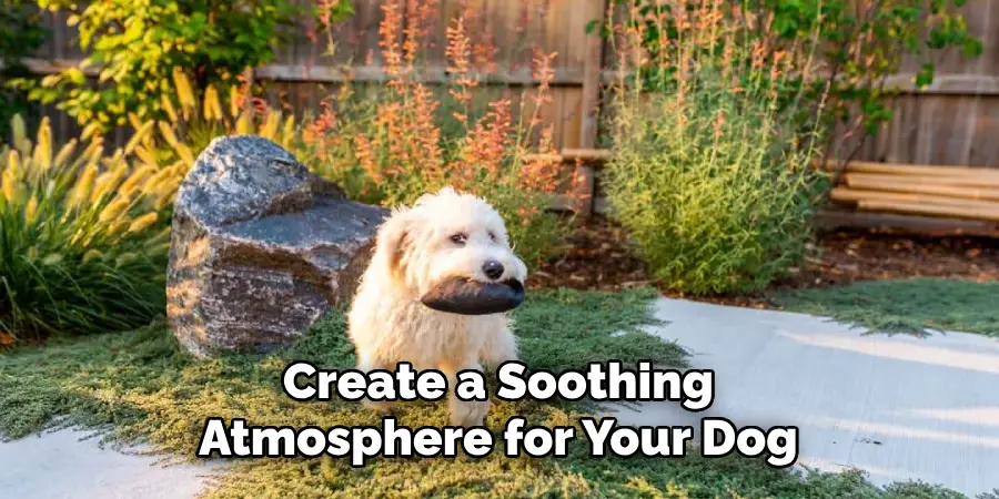 Create a Soothing Atmosphere for Your Dog