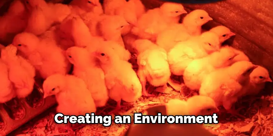 Creating an Environment