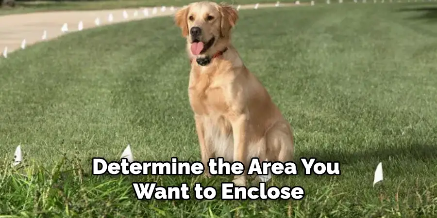 Determine the Area You Want to Enclose