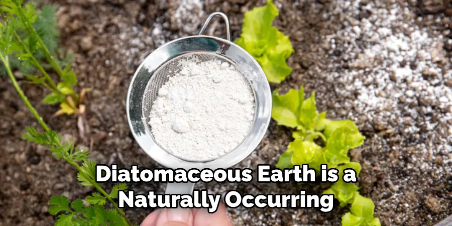 Diatomaceous Earth is a Naturally Occurring