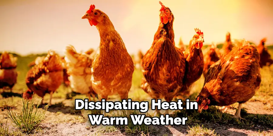 Dissipating Heat in Warm Weather