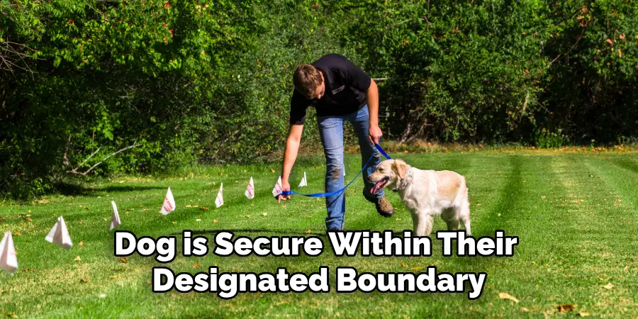 Dog is Secure Within Their Designated Boundary