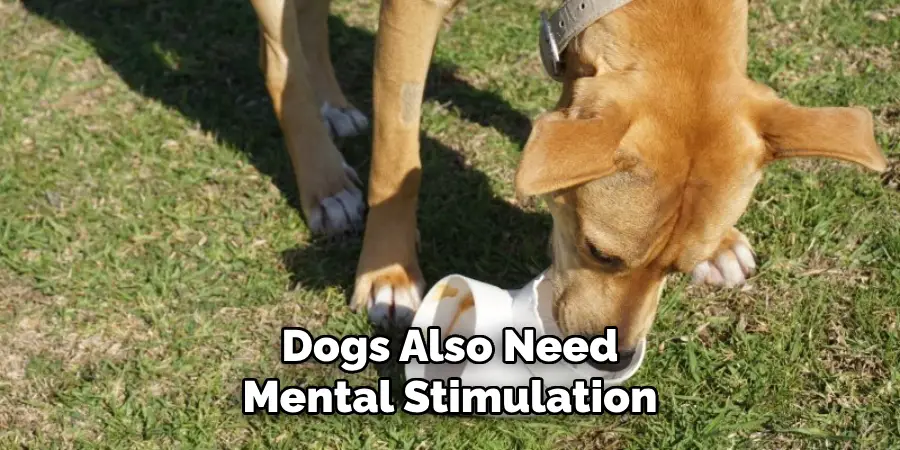 Dogs Also Need Mental Stimulation