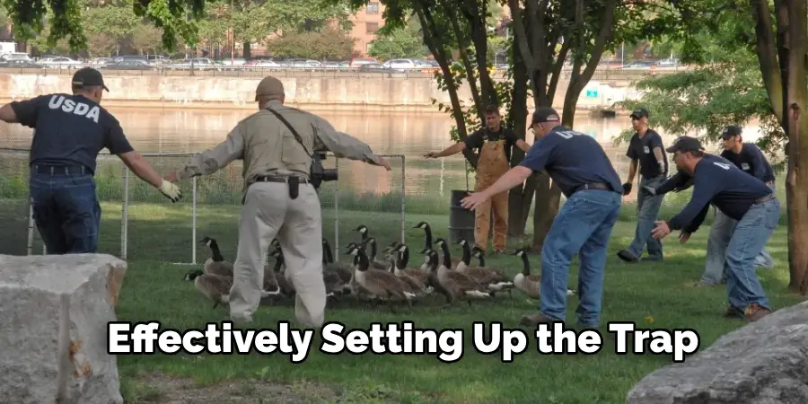 Effectively Setting Up the Trap