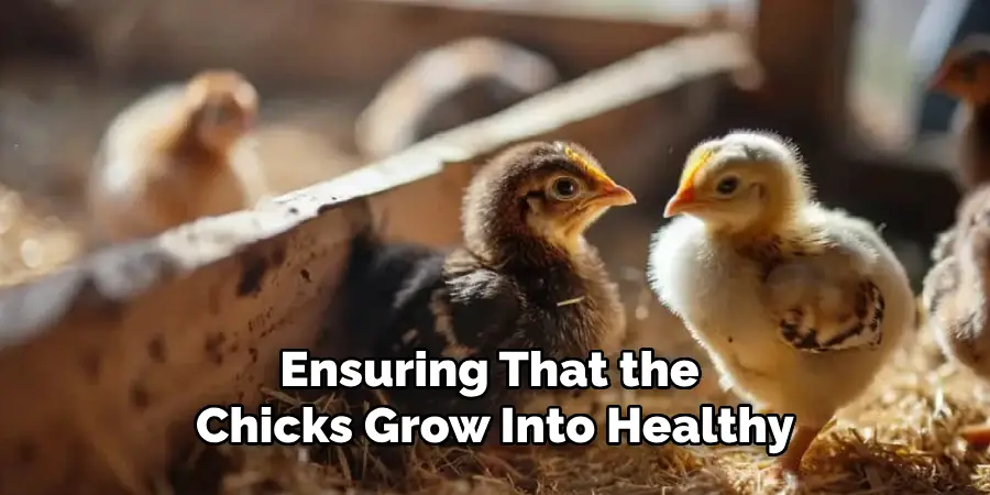 Ensuring That the Chicks Grow Into Healthy