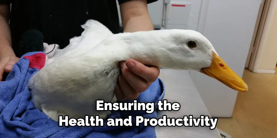 Ensuring the Health and Productivity 