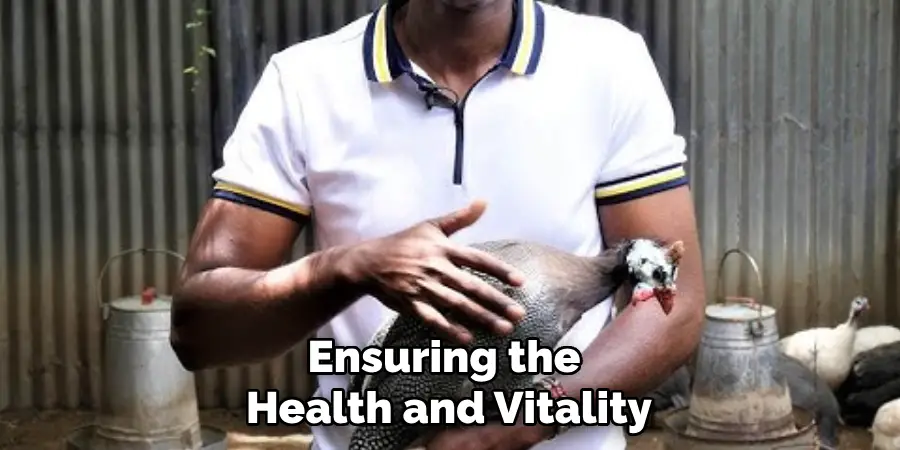 Ensuring the Health and Vitality