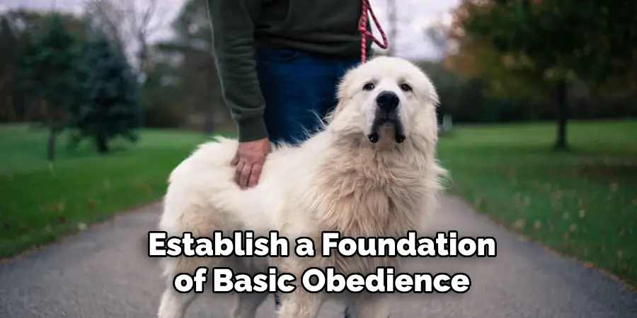 Establish a Foundation of Basic Obedience