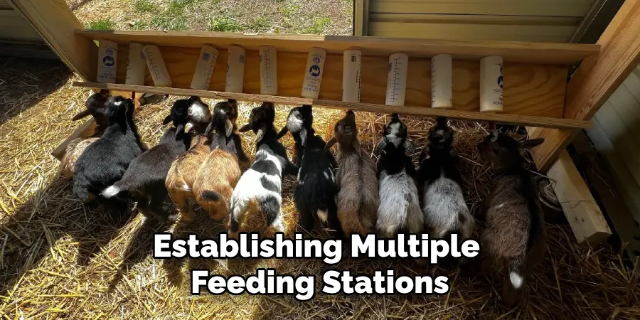 Establishing Multiple Feeding Stations
