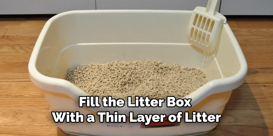 Fill the Litter Box With a Thin Layer of Litter