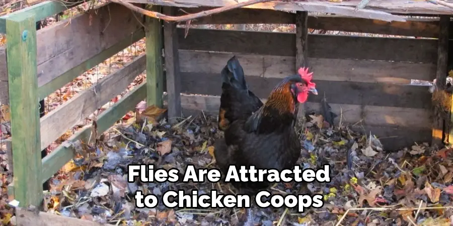 Flies Are Attracted to Chicken Coops