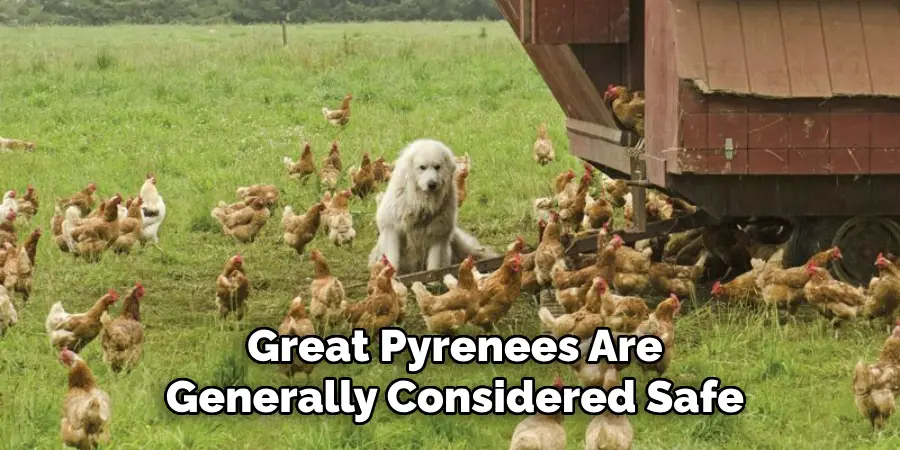 Great Pyrenees Are Generally Considered Safe
