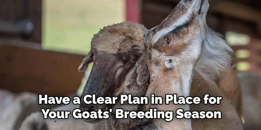 Have a Clear Plan in Place for Your Goats' Breeding Season
