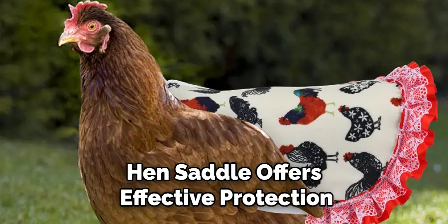 Hen Saddle Offers Effective Protection