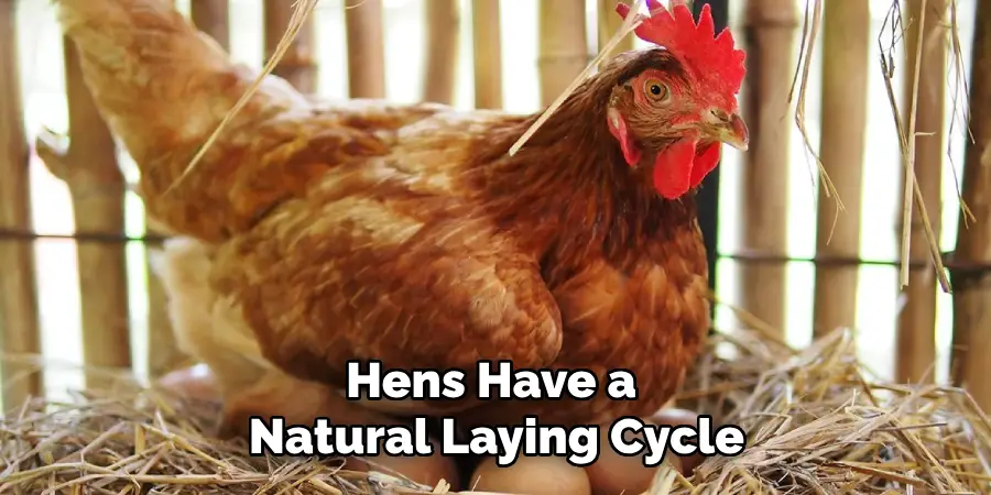 Hens Have a Natural Laying Cycle
