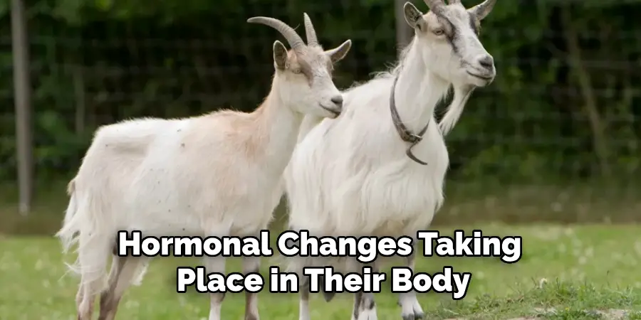 Hormonal Changes Taking Place in Their Body
