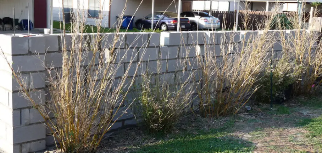 How to Build Stucco Fence