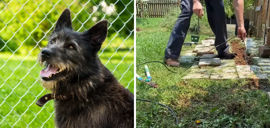 How to Install Above Ground Electric Fence for Dogs