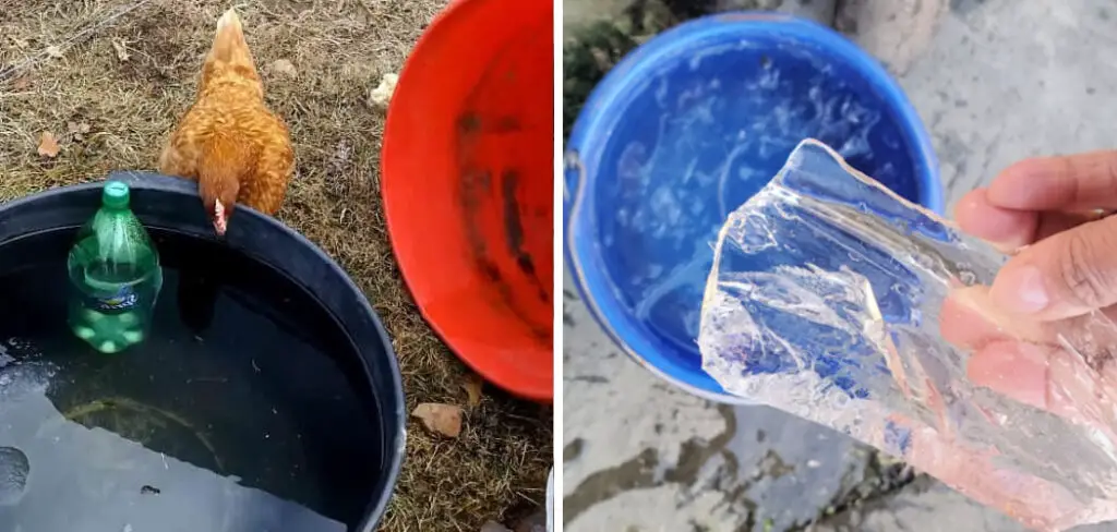 How to Keep Water From Freezing for Chickens