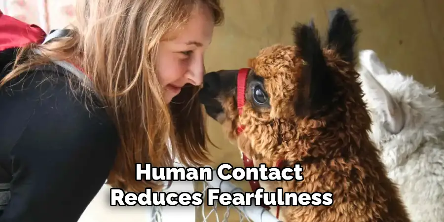 Human Contact Reduces Fearfulness