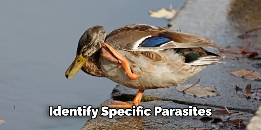 Identify Specific Parasites
