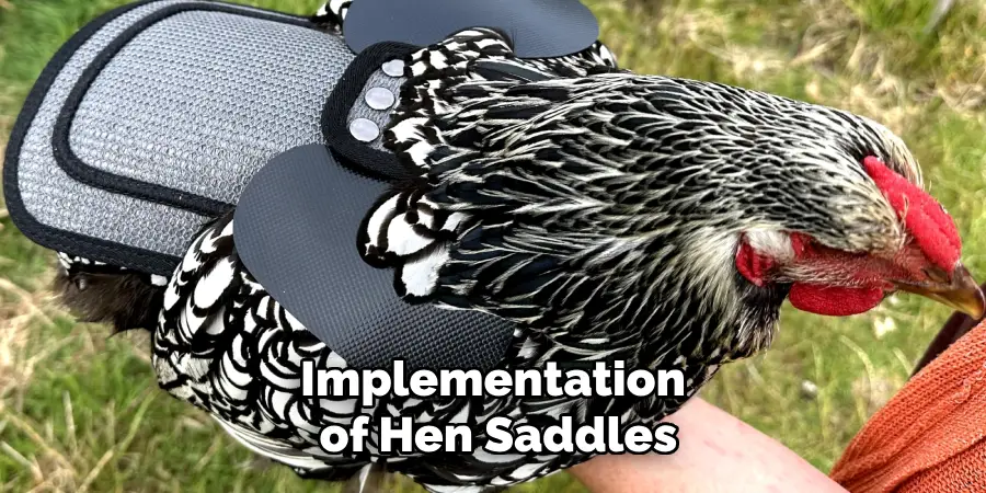 Implementation of Hen Saddles