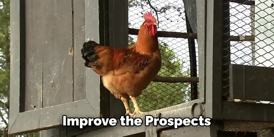 Improve the Prospects