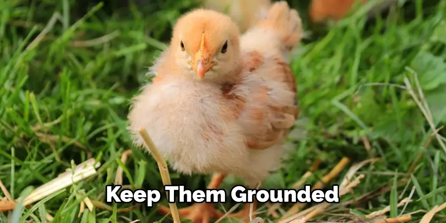 Keep Them Grounded
