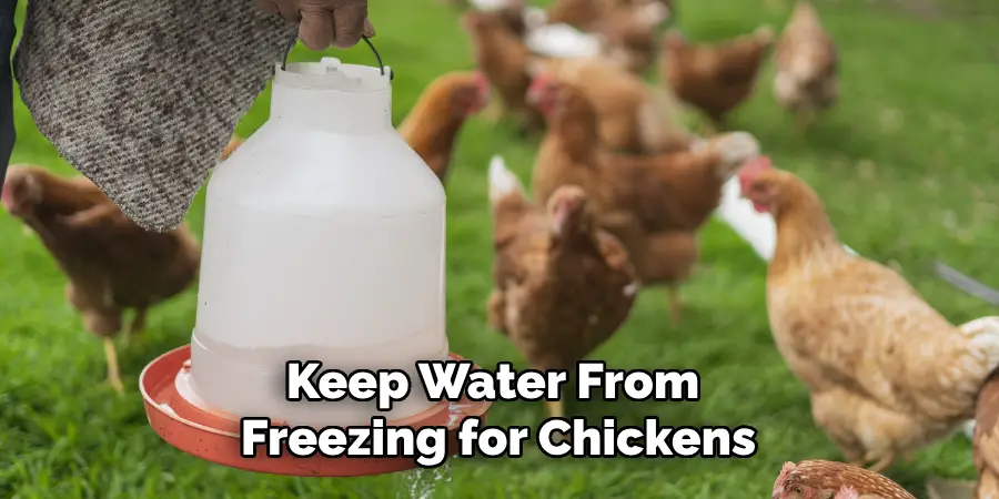 Keep Water From Freezing for Chickens