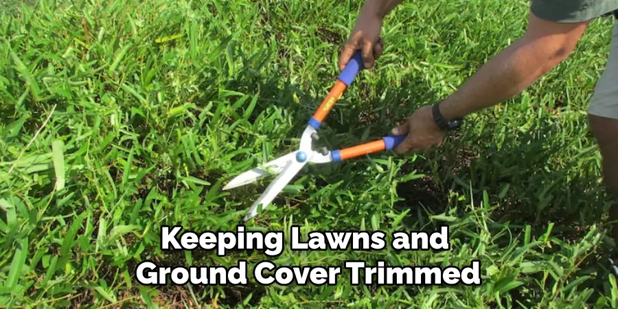 Keeping Lawns and Ground Cover Trimmed