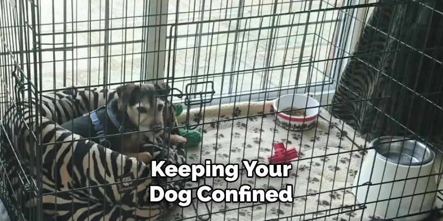 Keeping Your Dog Confined