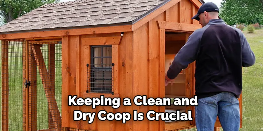 Keeping a Clean and Dry Coop is Crucial
